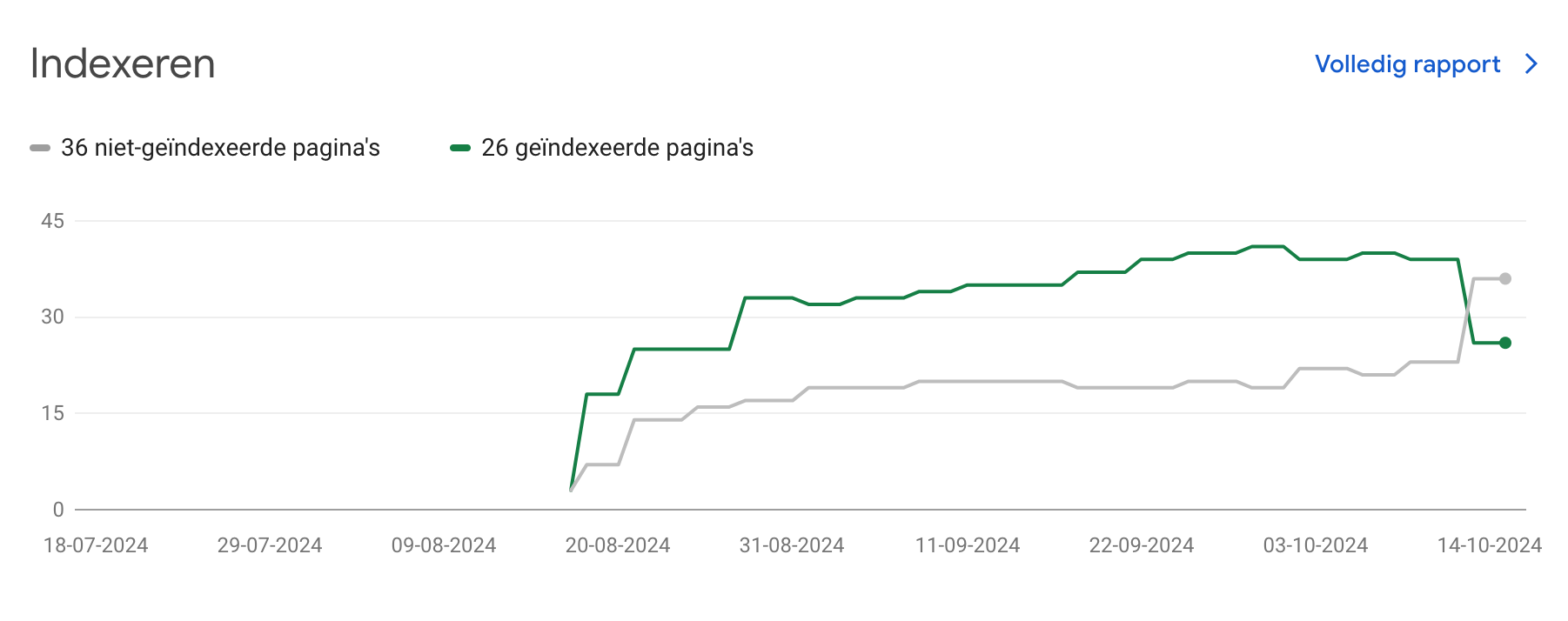 Afbeelding Google Search Console